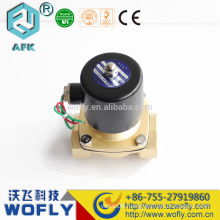 Gas solenoid valve,natural gas solenoid valve 220v ac